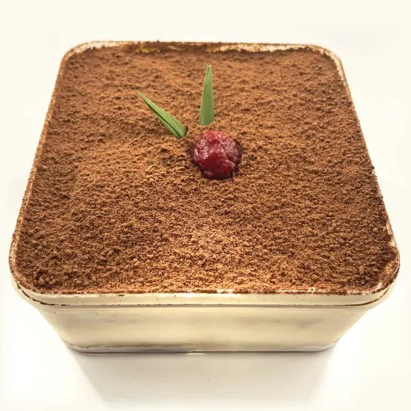 Front view of the Premium Tiramisu showing layers of cream and ladyfingers through the tub
