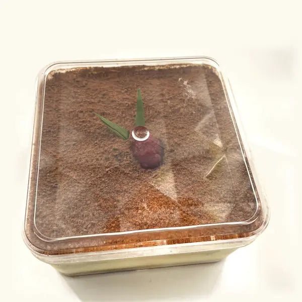 The Premium Tiramisu with its clear lid on, as it arrives
