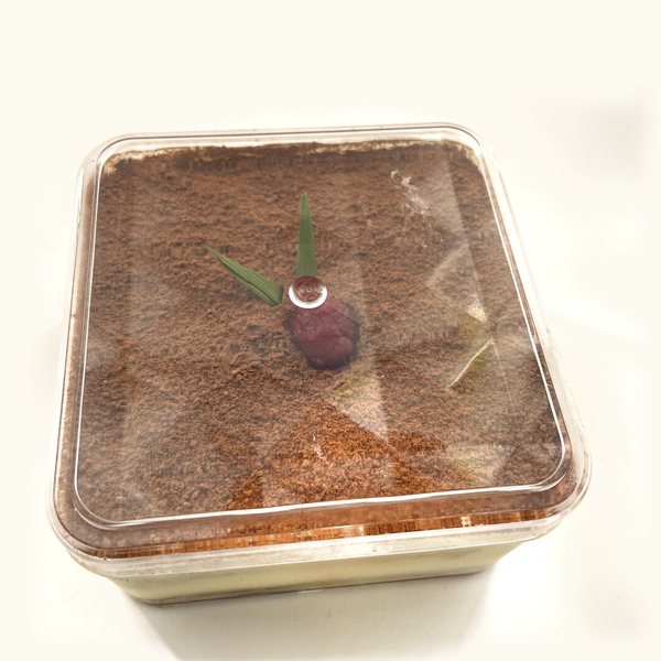 The Premium Tiramisu with its clear lid on, as it arrives
